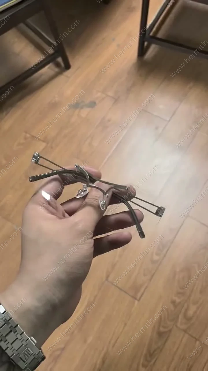Stainless Steel Eyewear Frame PP Sample Demonstration — Custom Eyewear Branding Prototype (LOG #3853)