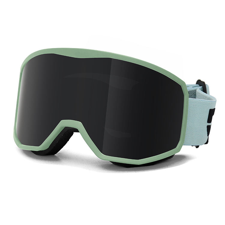 Desniger Ski Goggles Ice Skating Snow Sports Glasses Polarized Anti-fog Lens UV400 Protection Snowboard Safety Sunglasses Custom