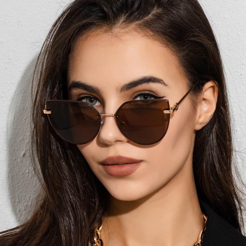 New Women's Large Frame Cat-Eye Sunglasses / $2.49 per pair (Wholesale Price)