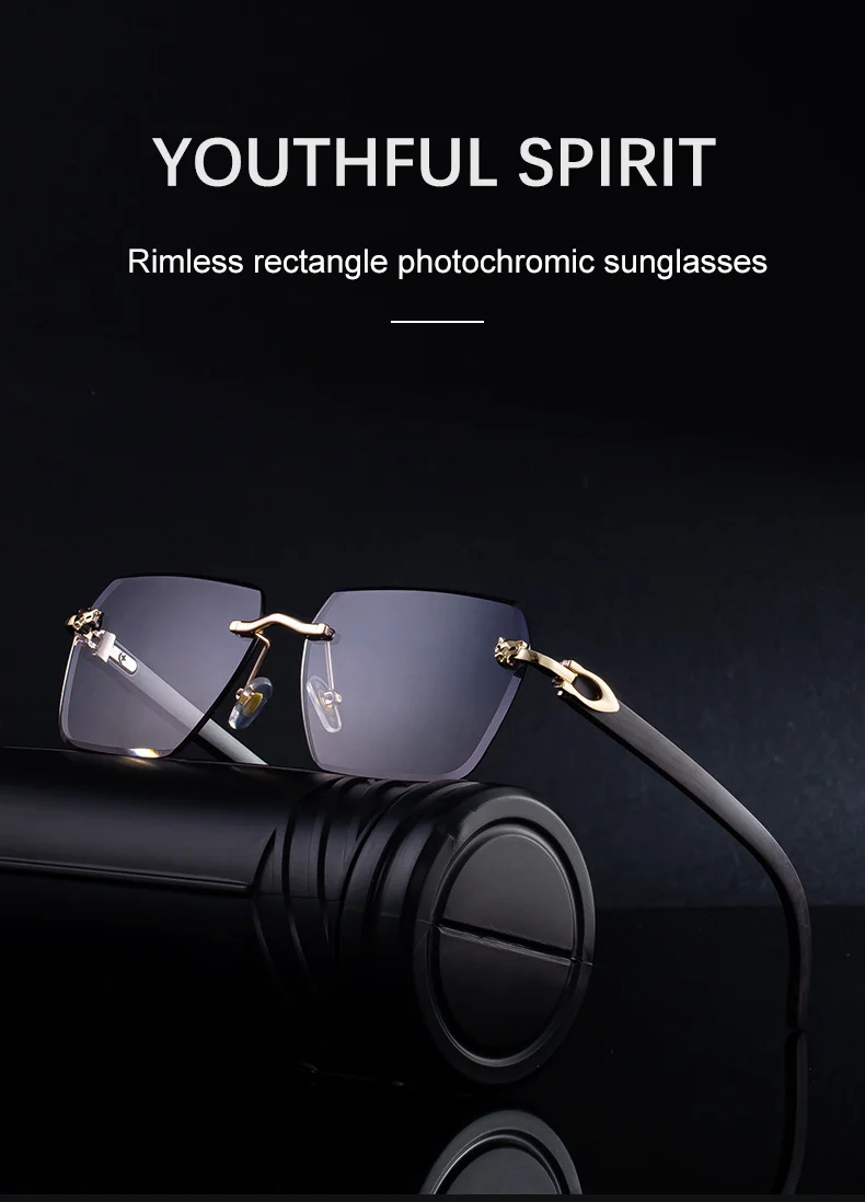 Black PC New Men's Premium Photochromic Square Sunglasses – Rimless Retro Design with Leopard Head & Wood Grain Pattern for Outdoor Driving - Details 3