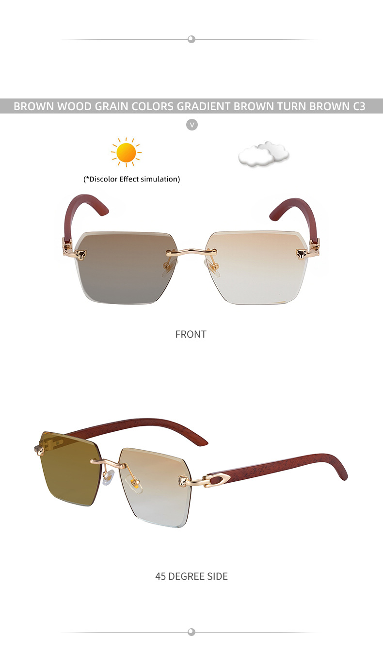 New Men's Premium Photochromic Square Sunglasses – Rimless Retro Design with Leopard Head & Wood Grain Pattern for Outdoor Driving Details and Specifications